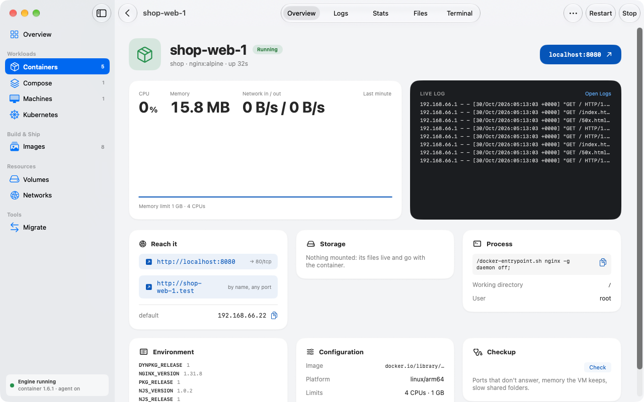 A container page: CPU and memory, a live log, addresses, environment and configuration